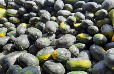 Universal India Exports